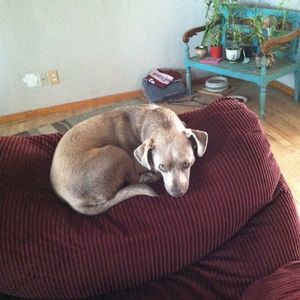 Meet your Posher, Nathaniel